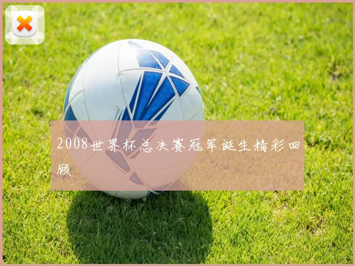 2008世界杯总决赛冠军诞生精彩回顾