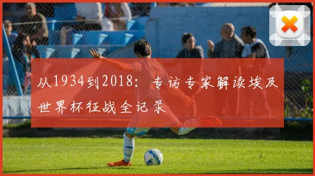 从1934到2018：专访专家解读埃及世界杯征战全记录