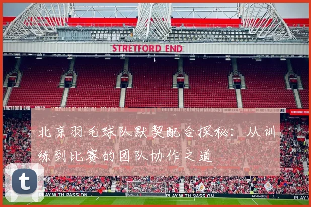 北京羽毛球队默契配合探秘：从训练到比赛的团队协作之道