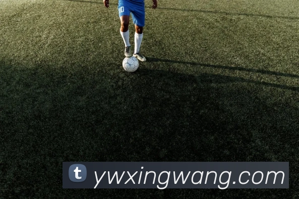 九游APP 封面图